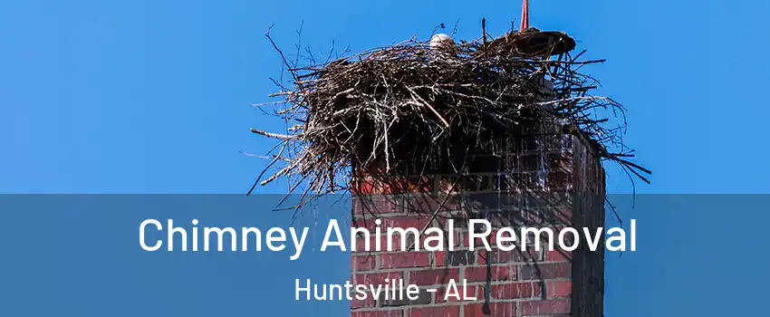  Chimney Animal Removal Huntsville - AL