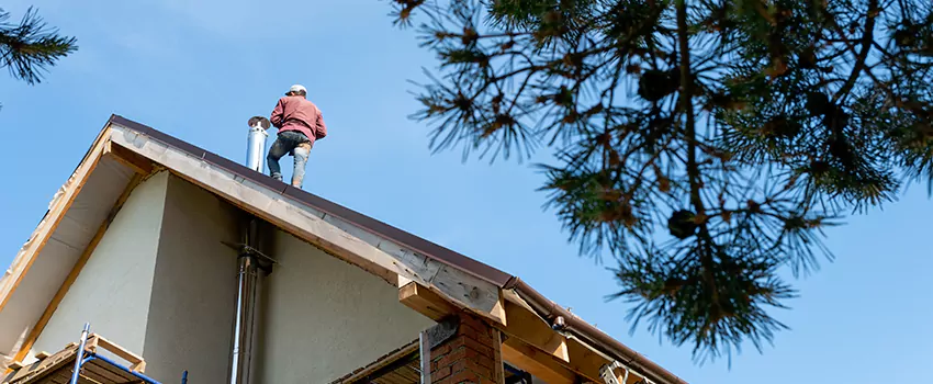 Birds Removal Contractors from Chimney in Huntsville, AL