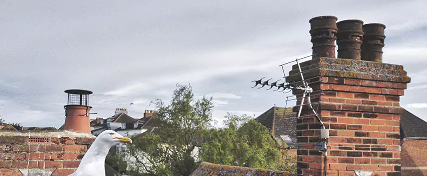 Chimney Cleaning And Restoration in Huntsville, Alabama