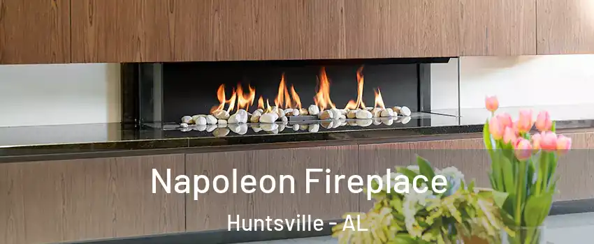  Napoleon Fireplace Huntsville - AL